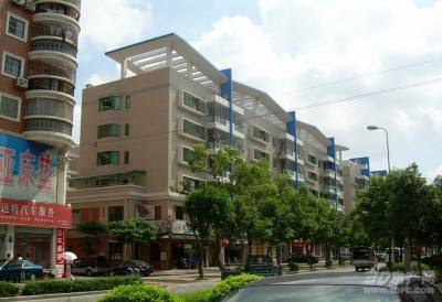 �B�T��������